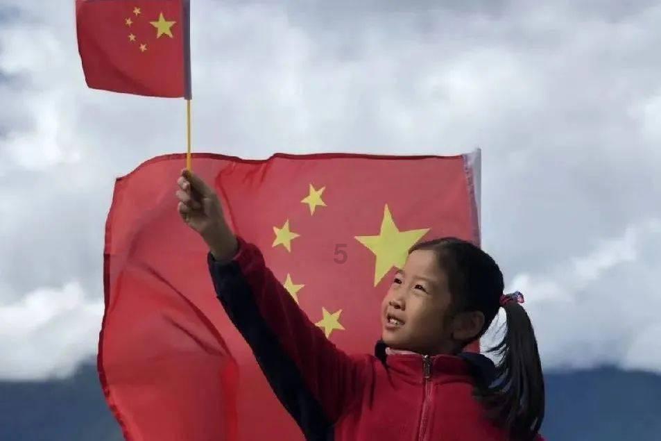 破碎的动物图形3